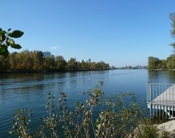 Die Regattastrecke Alte Donau Wien ist Austragungsort der Landesmeisterschaften