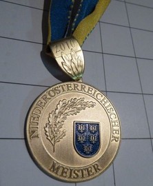 Landesmeistermedaille 2010 im Junioren Doppelzweier für Wallsee