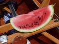 Frische Melone - die richtige Erfrischung zu Mittag bei 30 Grad