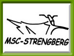 MSC Strengberg